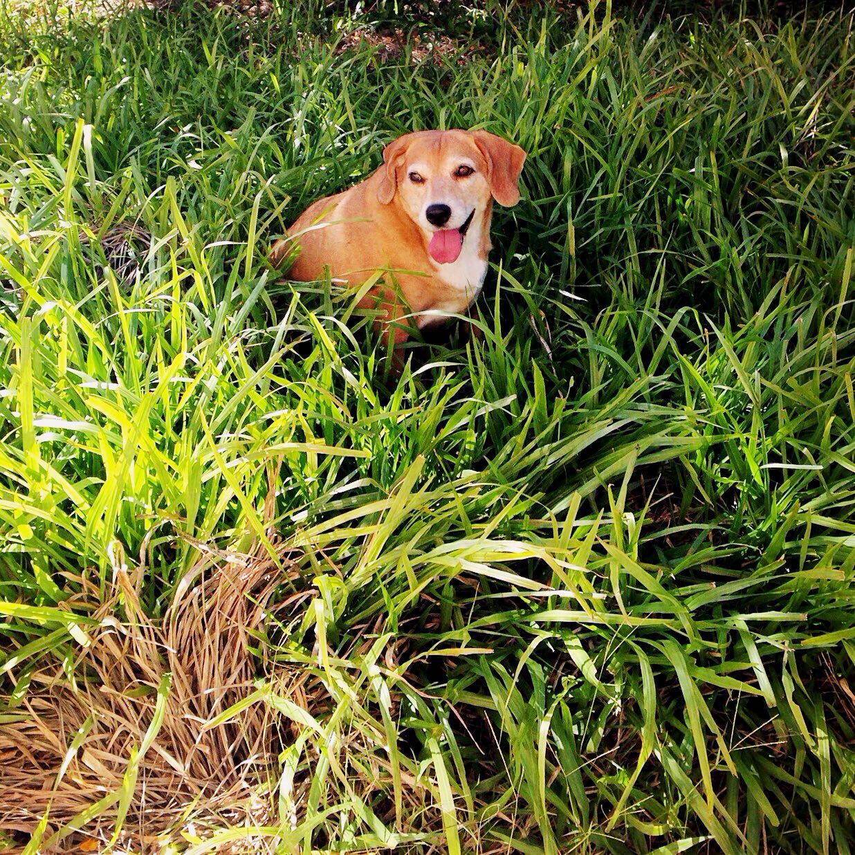 WhatsApp Image 2018-05-04 at 12.08.26.jpeg